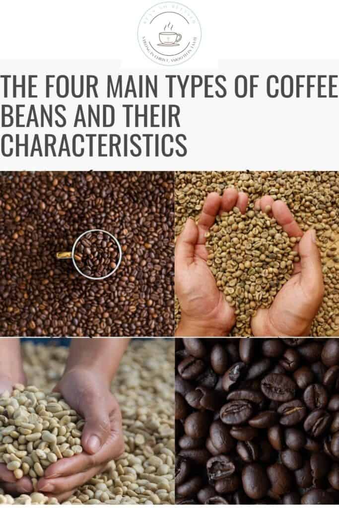 The Four Main Types of Coffee Beans and Their Characteristics